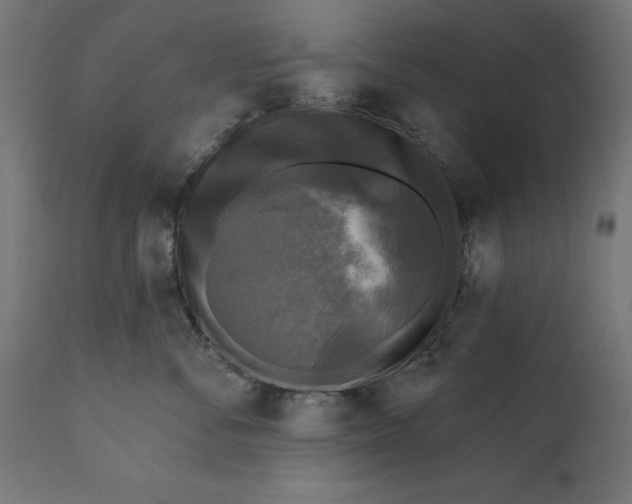 X0000111480716200907281202