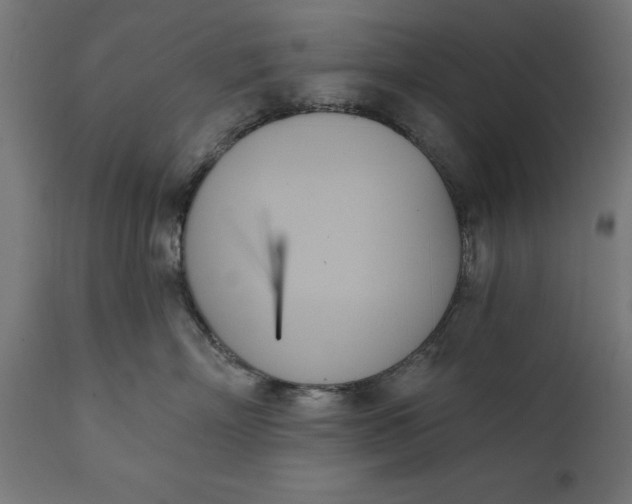 X0000111480718200907281202