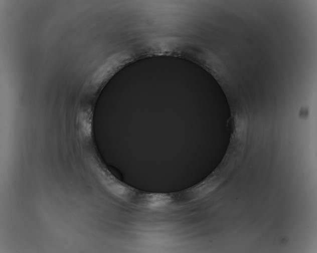 X0000111480719200907281202