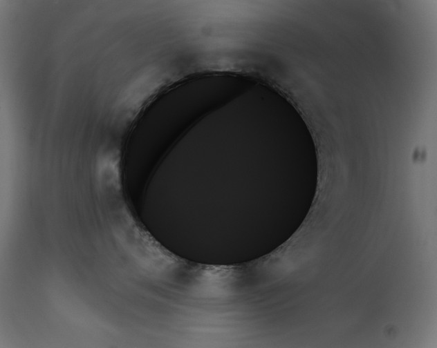 X0000111480720200907281202