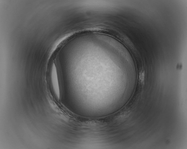 X0000111480724200907281201