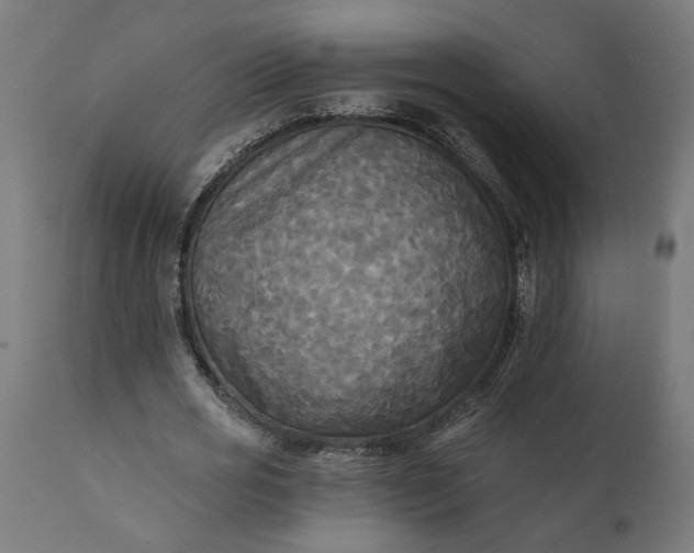 X0000111480725200907281201