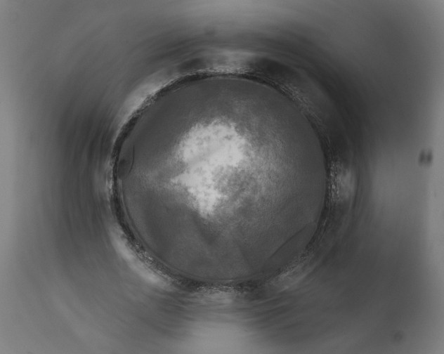 X0000111480726200907281201
