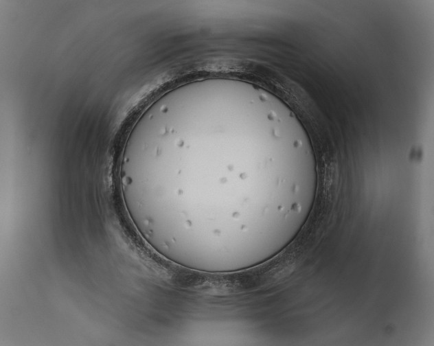 X0000111480727200907281201