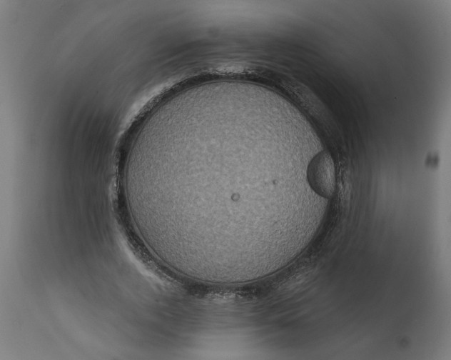 X0000111480728200907281201