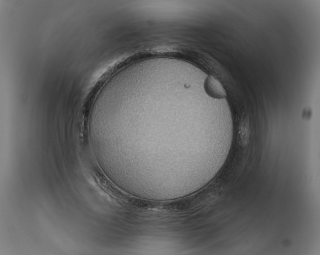 X0000111480732200907281201