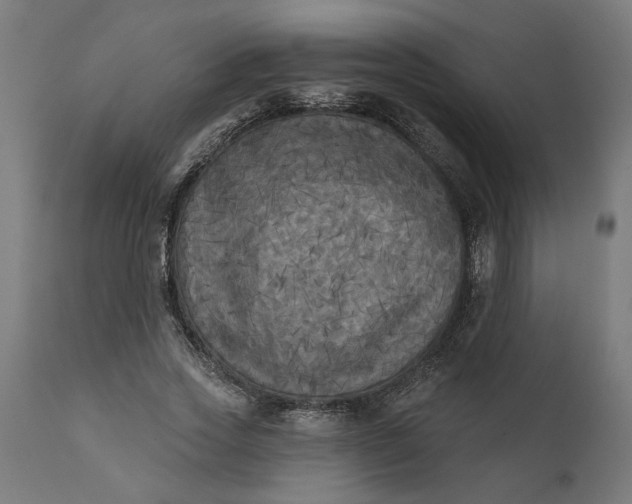 X0000111480733200907281202