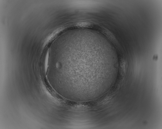 X0000111480734200907281202