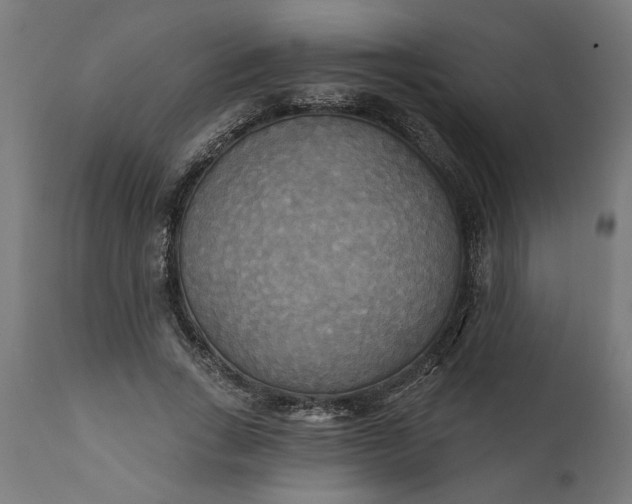 X0000111480735200907281202