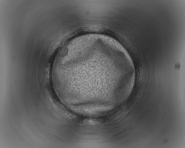 X0000111480739200907281202