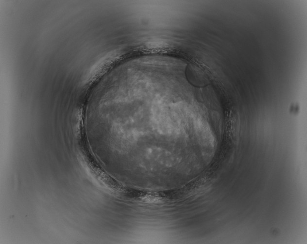 X0000111480742200907281202