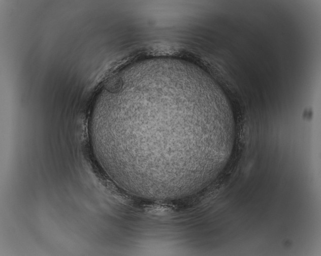X0000111480743200907281202