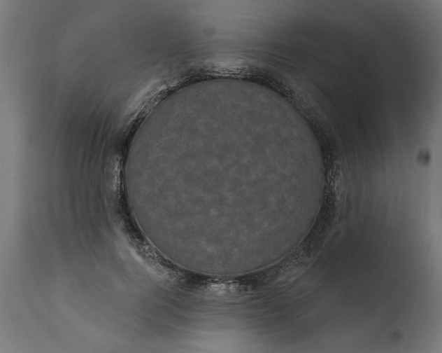 X0000111480744200907281202