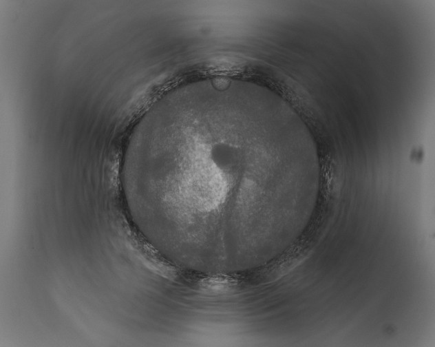 X0000111480745200907281202