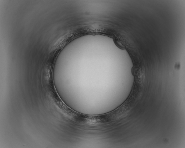 X0000111480746200907281202