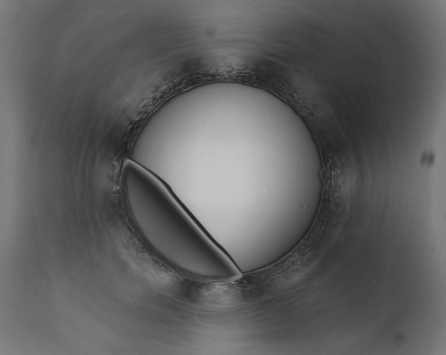 X0000111480750200907281202
