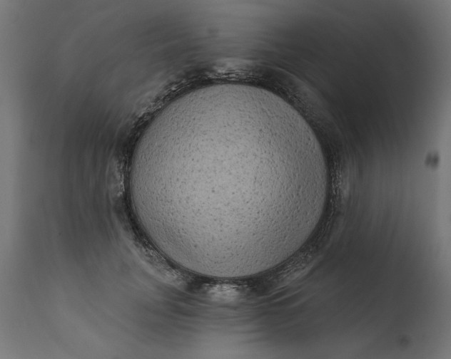 X0000111480751200907281202