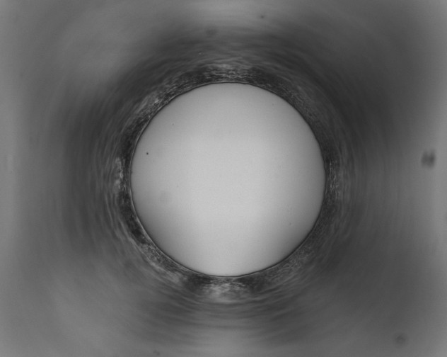X0000111480752200907281202