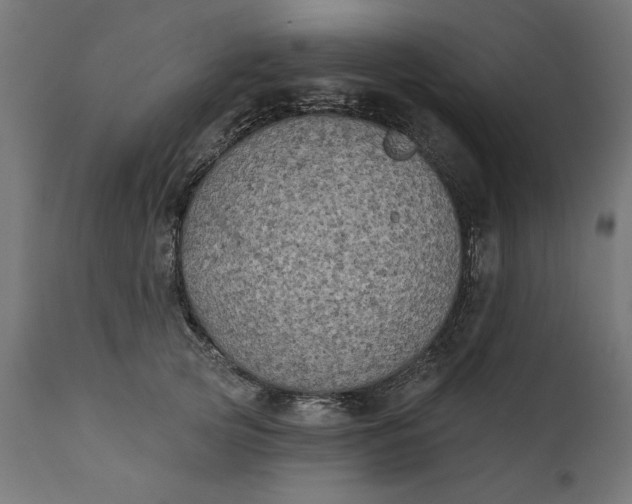 X0000111480753200907281202