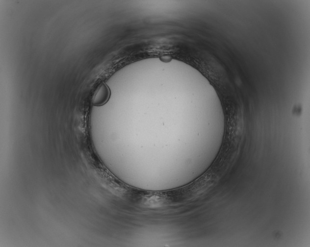 X0000111480755200907281202