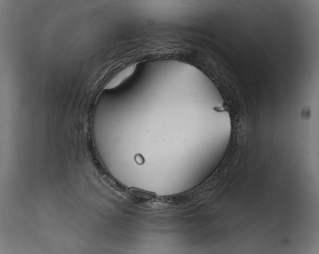 X0000111480756200907281202