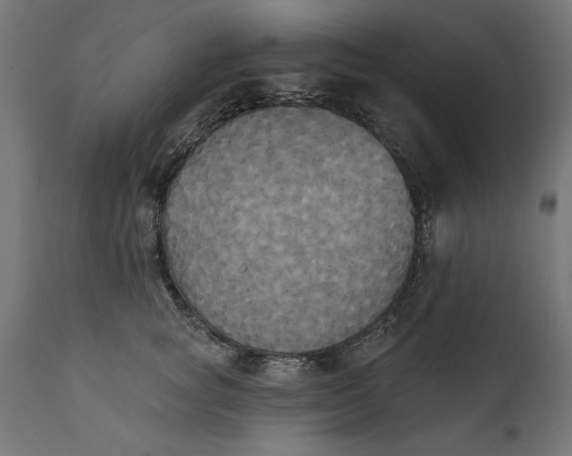 X0000111480757200907281202