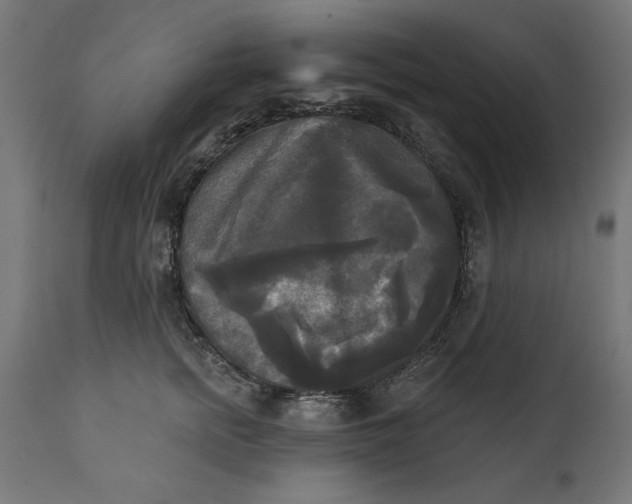 X0000111480758200907281202