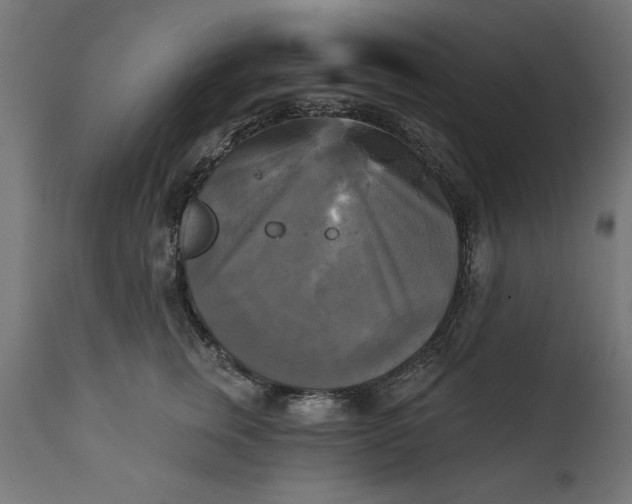 X0000111480759200907281202