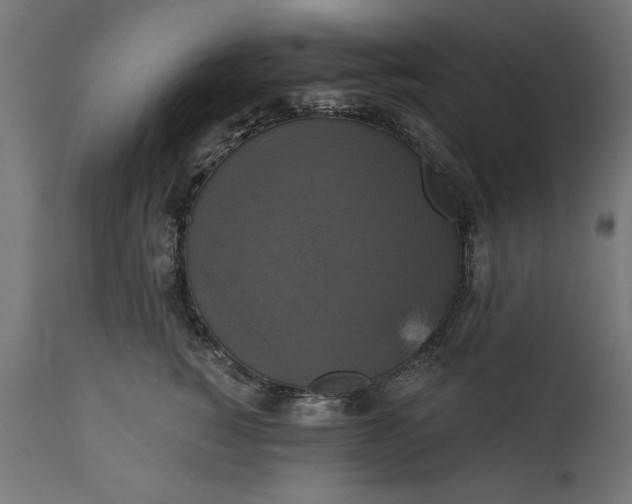 X0000111480760200907281202