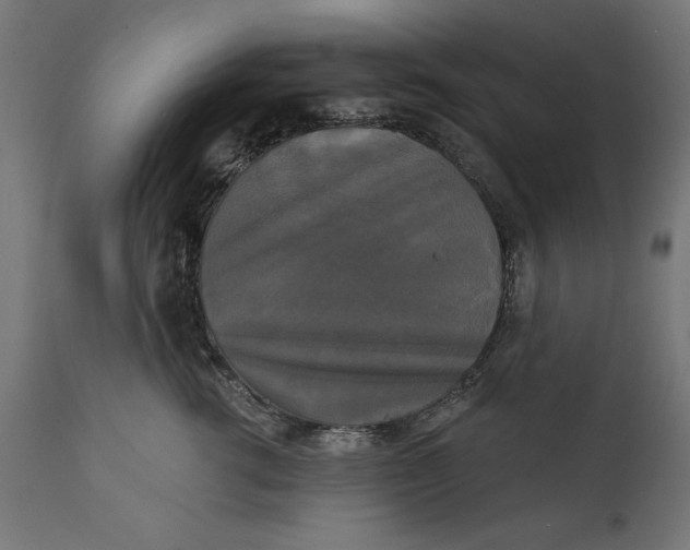 X0000111480762200907281202