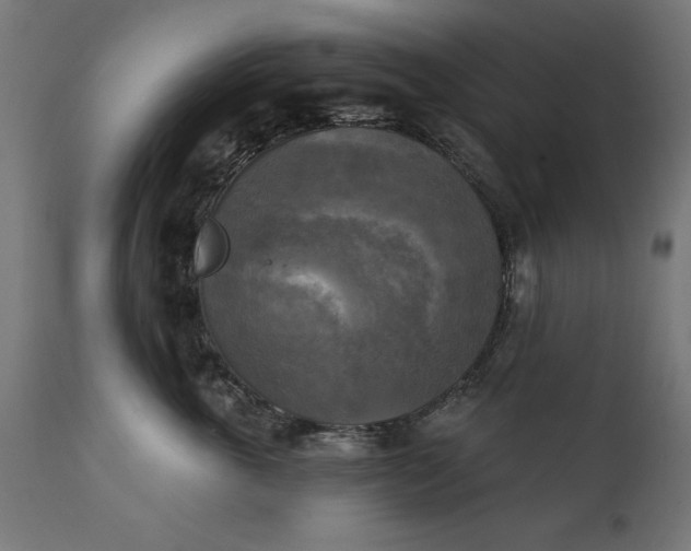 X0000111480763200907281202