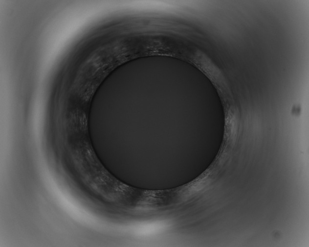 X0000111480765200907281202