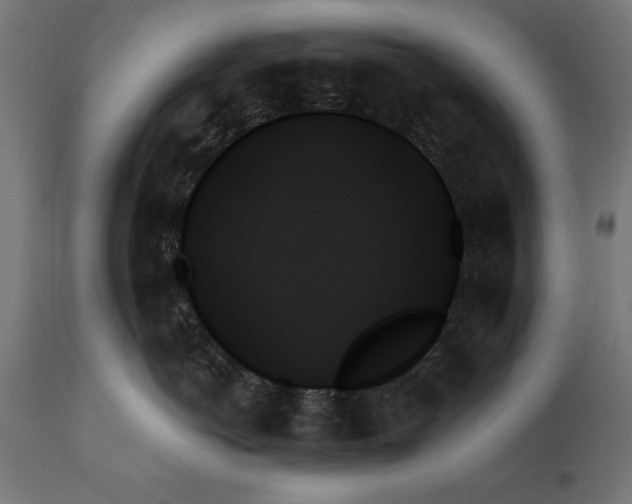 X0000111480766200907281202