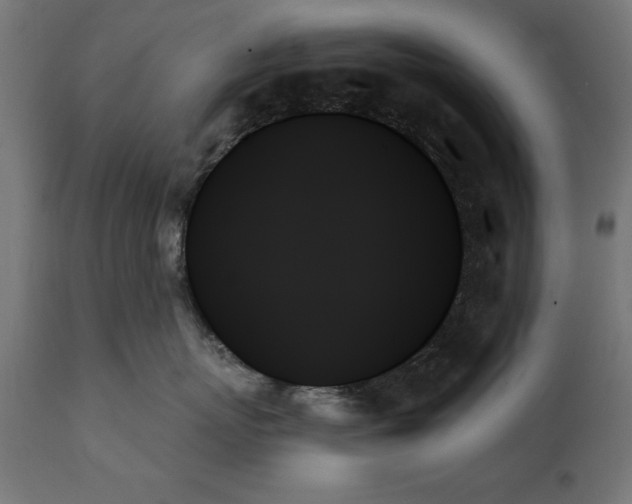 X0000111480767200907281202