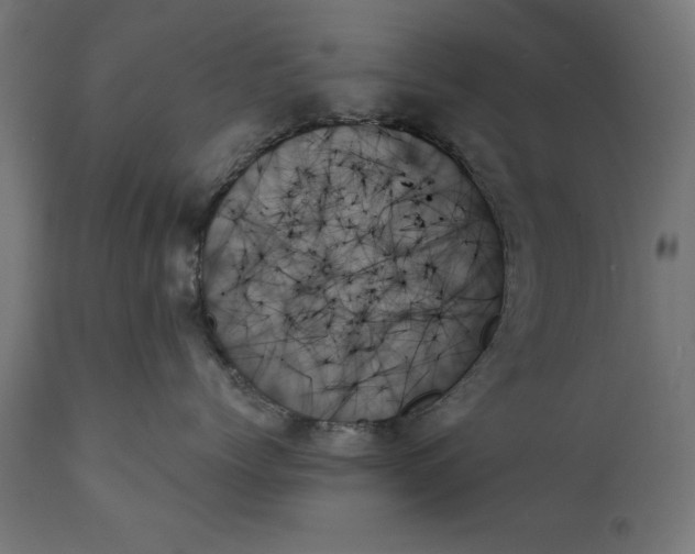 X0000111480768200907281202