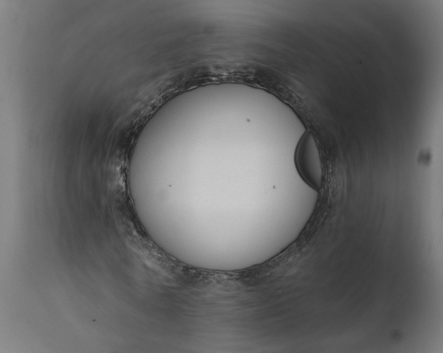 X0000111480770200907281201