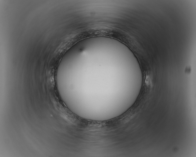 X0000111480771200907281201