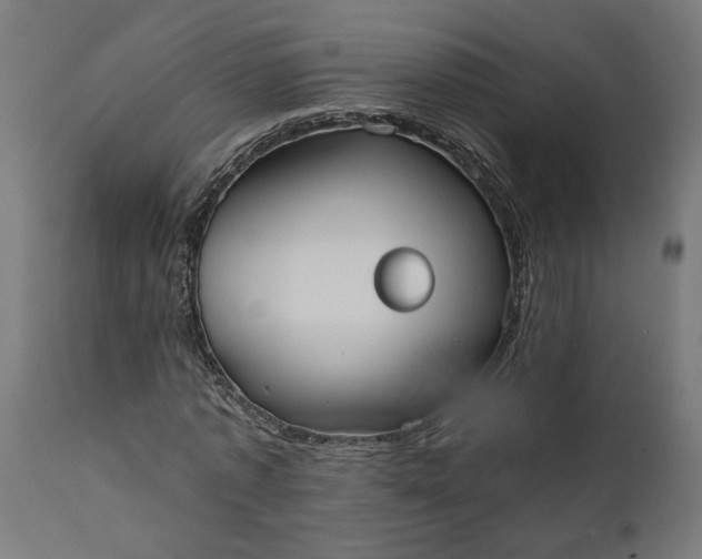 X0000111480773200907281201
