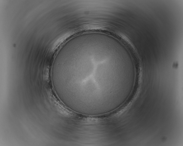 X0000111480777200907281201