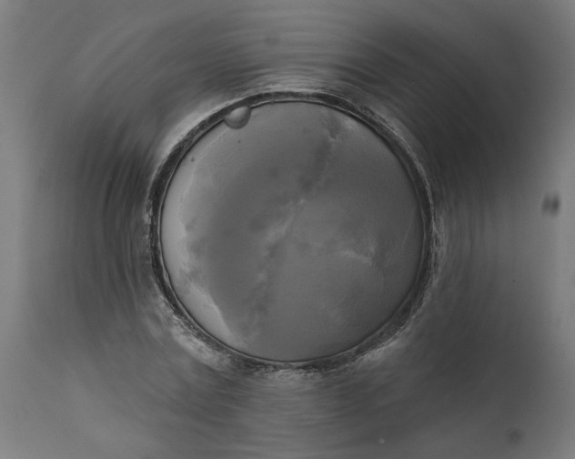 X0000111480779200907281201