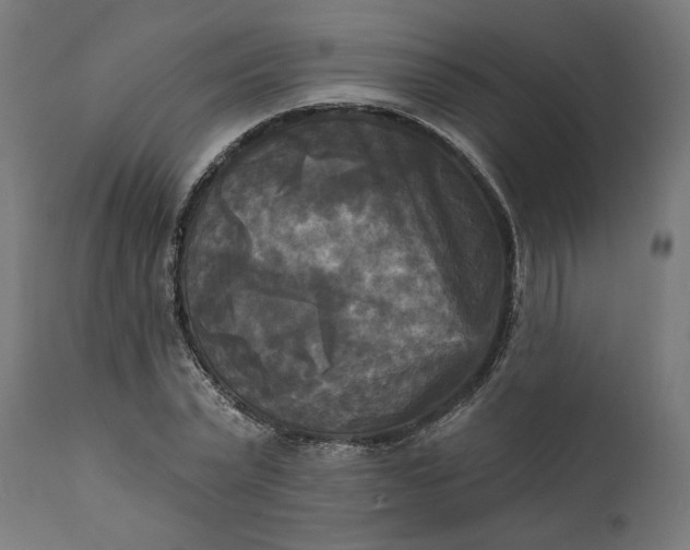 X0000111480783200907281201