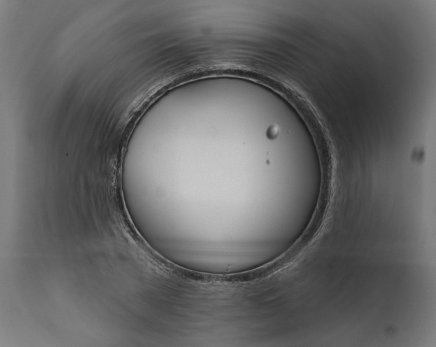X0000111480785200907281201