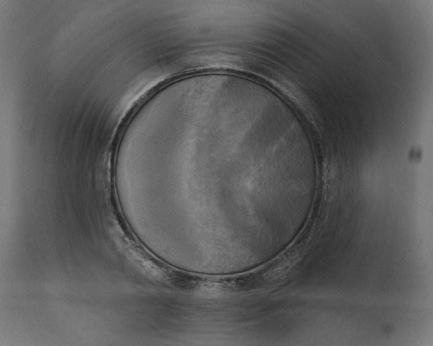 X0000111480790200907281201