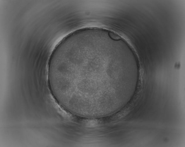 X0000111480791200907281201