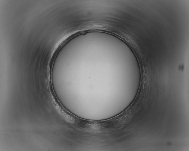 X0000111480792200907281201