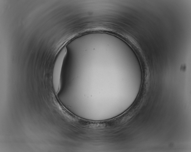 X0000111480793200907281201