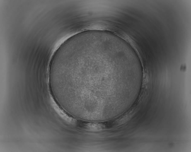 X0000111480795200907281201