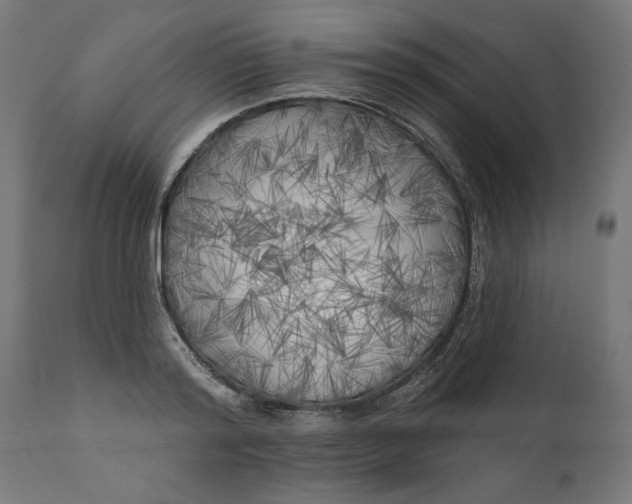 X0000111480796200907281201