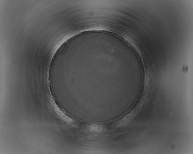 X0000111480797200907281201