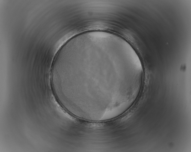 X0000111480802200907281201